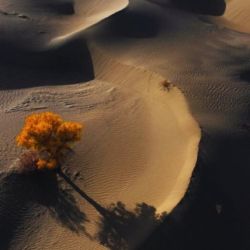 El proyecto utiliza sales térmicas para almacenar calor y generar electricidad continua, transformando el entorno árido en un centro de energía renovable.