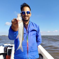 Antes del mediodía, las cuatro cañas a bordo ya habían alcanzado el cupo permitido, reflejando el gran momento del pesquero. Si bien el garete fue la técnica más efectiva en esta salida, otros pescadores lograron resultados similares pescando anclados, lo que demuestra la regularidad del pique.