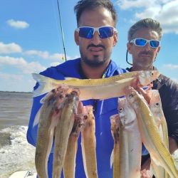 Antes del mediodía, las cuatro cañas a bordo ya habían alcanzado el cupo permitido, reflejando el gran momento del pesquero. Si bien el garete fue la técnica más efectiva en esta salida, otros pescadores lograron resultados similares pescando anclados, lo que demuestra la regularidad del pique.