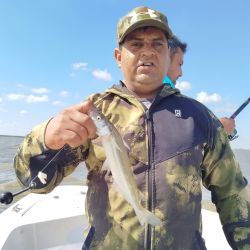 Antes del mediodía, las cuatro cañas a bordo ya habían alcanzado el cupo permitido, reflejando el gran momento del pesquero. Si bien el garete fue la técnica más efectiva en esta salida, otros pescadores lograron resultados similares pescando anclados, lo que demuestra la regularidad del pique.