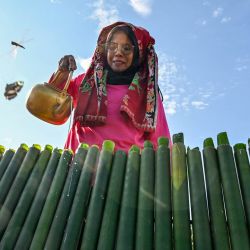 Una participante vierte leche de coco en tubos de bambú mientras se prepara para cocinar lemang, un plato tradicional de arroz glutinoso que se rellena en tubos de bambú con leche de coco y luego se coloca sobre fuego abierto, durante un evento de cocina masiva en Blang Pidie, provincia de Aceh, Indonesia. | Foto:CHAIDEER MAHYUDDIN / AFP