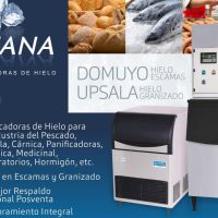 Acompañar para crecer: el diferencial detrás de los negocios que funcionan