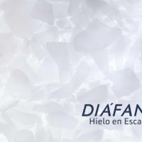 Acompañar para crecer: el diferencial detrás de los negocios que funcionan