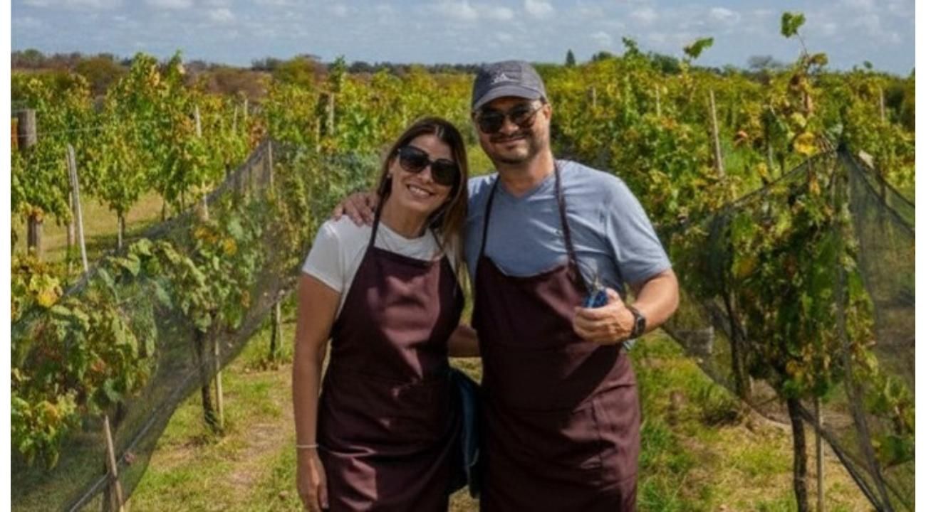 Vitis Boutique: El sueño de nuestro vino