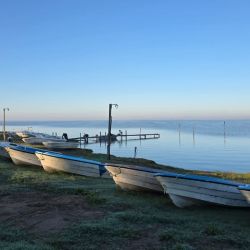 Uno de los factores determinantes en este ámbito es el viento. Es sabido que sin movimiento del agua, la oxigenación disminuye y el pejerrey se vuelve esquivo. En este espejo, se necesitan al menos 20 km/h de viento para activar el pique.