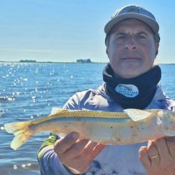 Uno de los factores determinantes en este ámbito es el viento. Es sabido que sin movimiento del agua, la oxigenación disminuye y el pejerrey se vuelve esquivo. En este espejo, se necesitan al menos 20 km/h de viento para activar el pique.