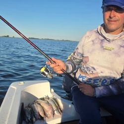 Uno de los factores determinantes en este ámbito es el viento. Es sabido que sin movimiento del agua, la oxigenación disminuye y el pejerrey se vuelve esquivo. En este espejo, se necesitan al menos 20 km/h de viento para activar el pique.