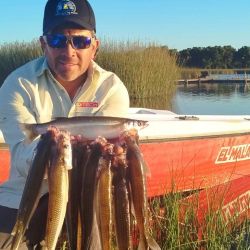 El colega balcarceño Diego Mancino visitó la laguna a fines de marzo, logrando buenas capturas. 