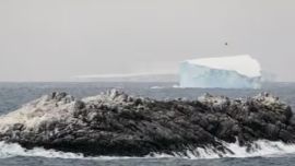 El hallazgo se produjo de manera fortuita.