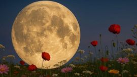 Se trata de uno de los eventos más espectaculares de la naturaleza.