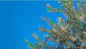 Un científico del CONICET desarrolló un robot autónomo que elimina plagas mediante inteligencia artificial