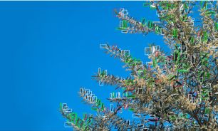 Un científico del CONICET desarrolló un robot autónomo que elimina plagas mediante inteligencia artificial