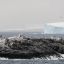 2804_Isla antártida