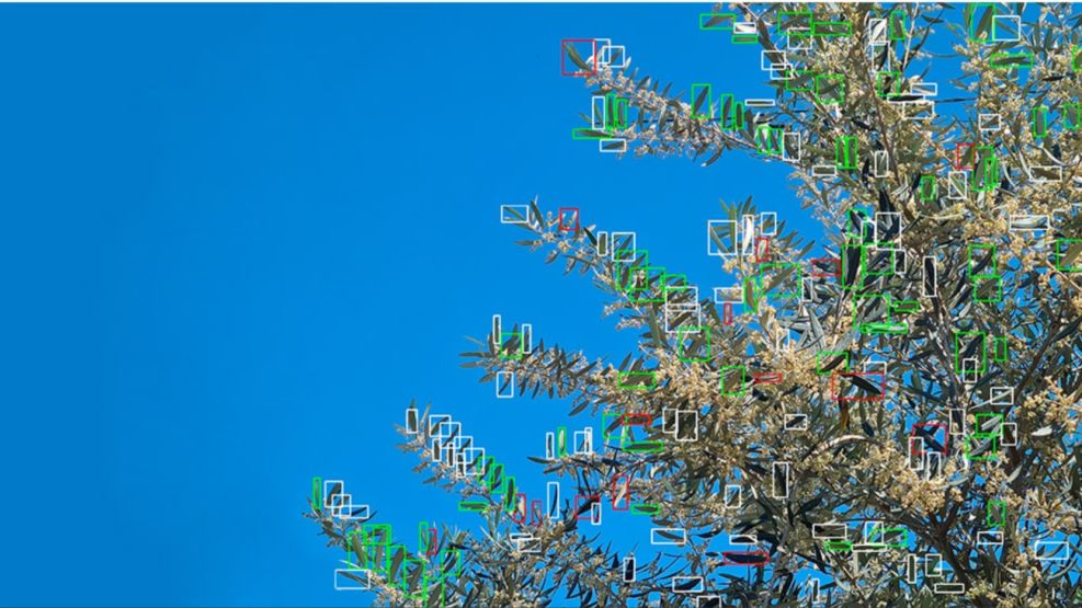 Un científico del CONICET desarrolló un robot autónomo que elimina plagas mediante inteligencia artificial