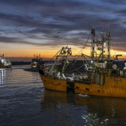 Sin azul no hay verde.