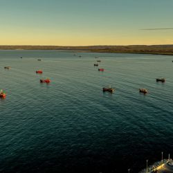 Sin azul no hay verde.