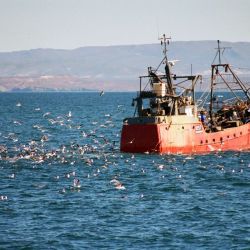 Sin azul no hay verde.