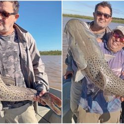 De cara a las próximas semanas, las perspectivas son alentadoras. Se espera que el río Paraná comience a aclararse hacia mediados de mayo, lo que potenciará la pesca de dorados tanto con baitcasting, spinning y fly. 