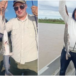 De cara a las próximas semanas, las perspectivas son alentadoras. Se espera que el río Paraná comience a aclararse hacia mediados de mayo, lo que potenciará la pesca de dorados tanto con baitcasting, spinning y fly. 