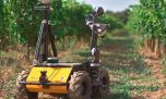 Un científico argentino diseñó un robot para detectar enfermedades en árboles en segundos