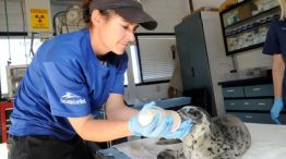0429_seaworld