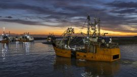 Sin azul no hay verde.