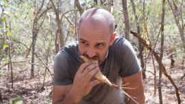 Ed Stafford en acción.