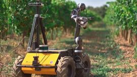 Un científico argentino diseñó un robot para detectar enfermedades en árboles en segundos