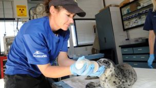 0429_seaworld