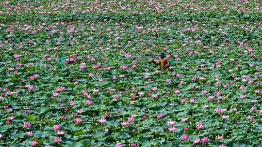 El día en fotos 30-04-26