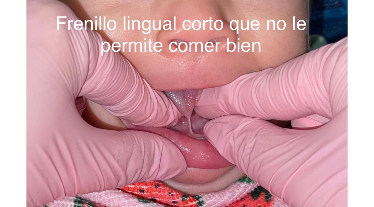 Título:” Los 1.000 días de oro”