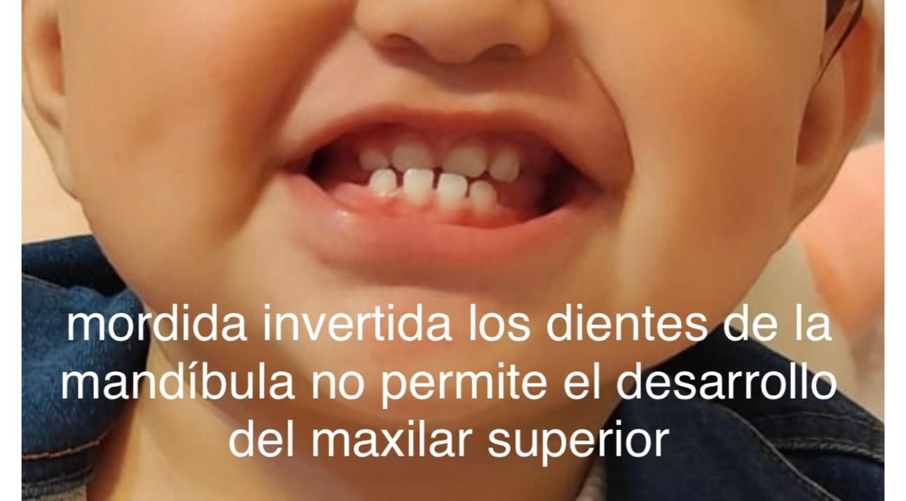 Título:” Los 1.000 días de oro”