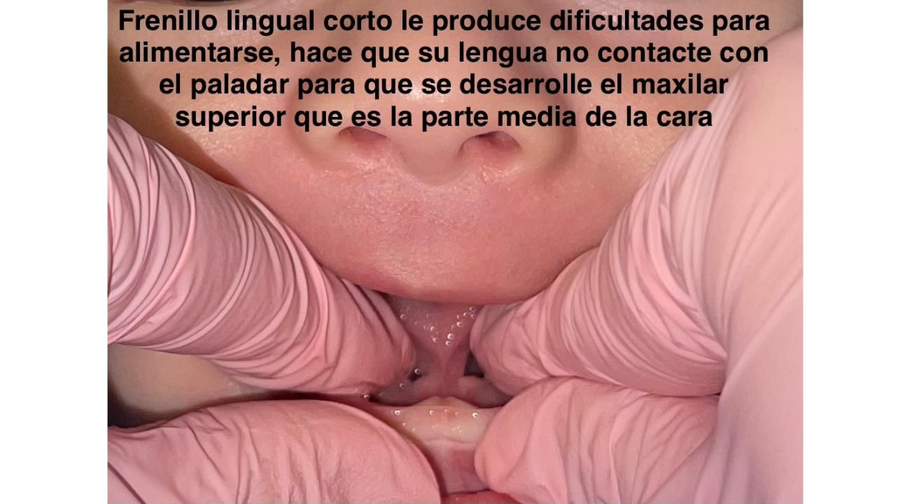 Título:” Los 1.000 días de oro”