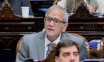 Un diputado habló de "therians que se autoperciben leones" e hizo delirar al Congreso