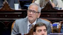 Un diputado habló de "therians que se autoperciben leones" e hizo delirar al Congreso