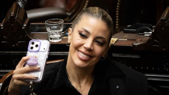 Virginia Gallardo en el Congreso: "Por qué no le sacás una foto a esta trompa hermosa"