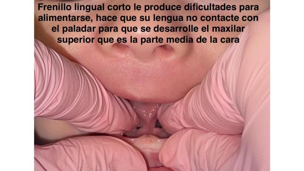 Título:” Los 1.000 días de oro”