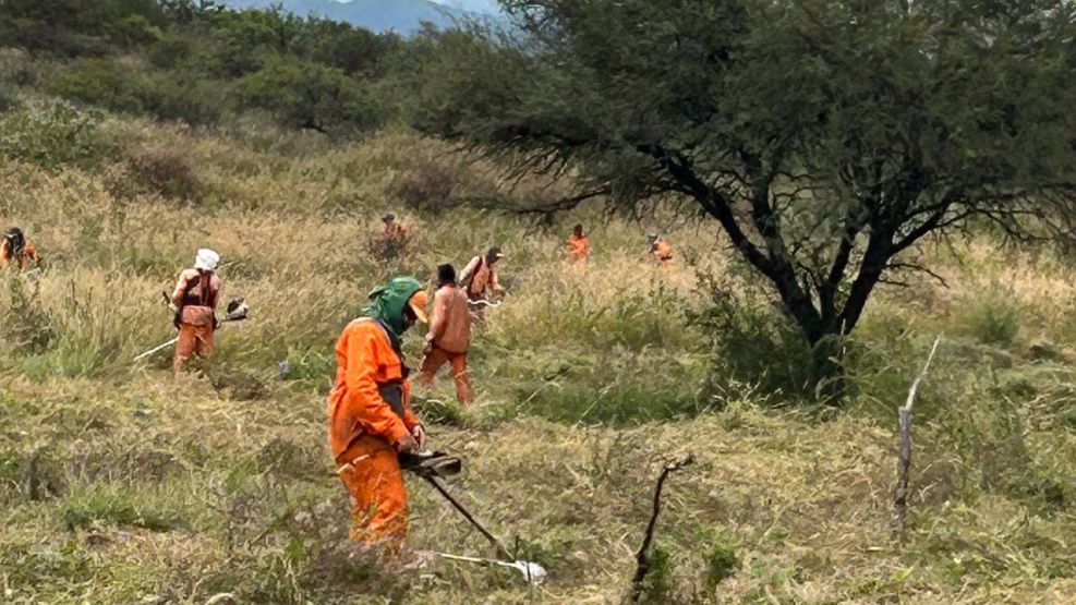 Trabajos de desmalezamiento en La Perla 30042026
