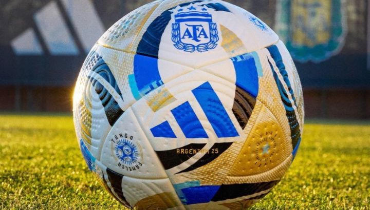 Pelota oficial