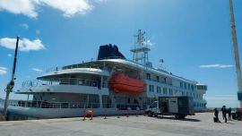 Qué es el Hantavirus y cómo se contagia: la infección que mató a tres pasajeros en un crucero de lujo que salió de Ushuaia