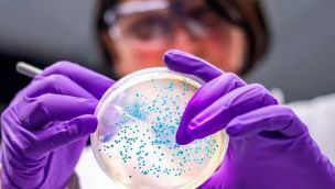 bacter pfizer