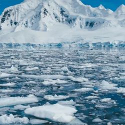 Entender porqué el hielo marino crece mientras los gigantes terrestres mueren es clave para predecir el futuro de nuestras costas