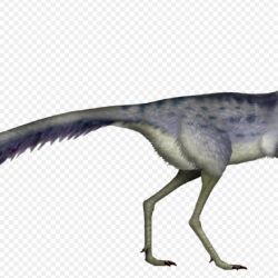 Representación gráfica del dinosaurio encontrado en Río Negro.