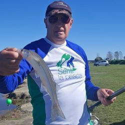La mojarra mediana, encarnada de cola a cabeza, funcionó bien en el arranque. Sin embargo, cuando la actividad decayó, el cambio a filet de dientudo permitió reactivar el pique. La profundidad también fue determinante: los mejores resultados se dieron a apenas 10 cm, confirmando que el peje estaba comiendo muy arriba.