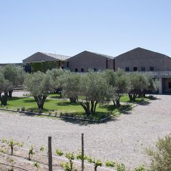 Bodega Atamisque en Delirio