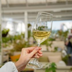 Sauvignon Blanc.