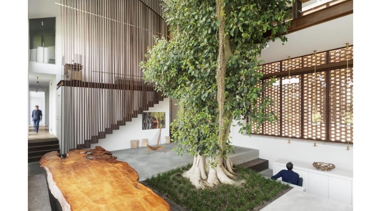 Neuroarquitectura: diseñando espacios que transforman vidas en Casa Bonita