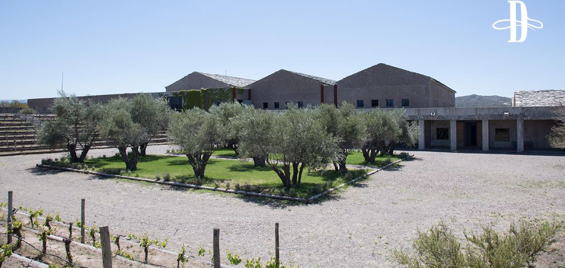 Bienvenida Bodega Atamisque a Delirio