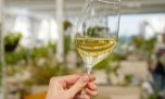 Día del Sauvignon Blanc: bares, restaurantes y etiquetas para descubrir hoy 