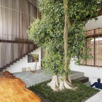 Neuroarquitectura: diseñando espacios que transforman vidas en Casa Bonita